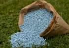 Alta dos fertilizantes exige atenção ao solo