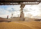 Soja recua no Brasil e nos EUA após forte alta registrada em setembro