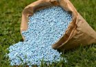 Fertilizantes mais caros elevam custos da safra