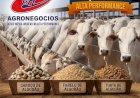 Veja aqui Cotações mistas do Agro