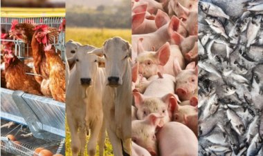 1ª Conferência internacional sobre biosseguridade em Barcelona