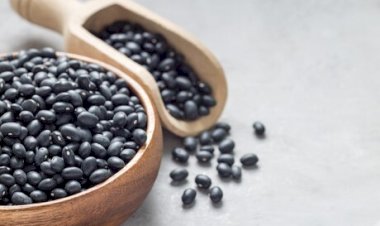 Alta oferta pressiona preços do feijão em julho, apesar de qualidade superior da terceira safra