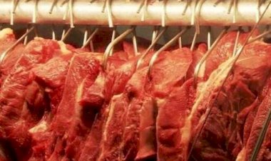 Exportação de carne bovina do Brasil bate recorde em julho