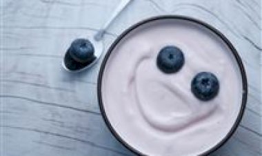 Trevo Lácteos e UFV lançam Academia do Iogurte