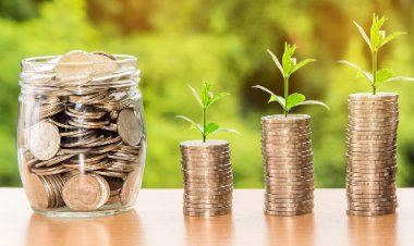 Cidades exportadoras pressionam governo por medidas urgentes contra impacto do tarifaço dos EUA