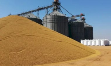 Armazenagem de grãos: Brasil corre risco de estagnação