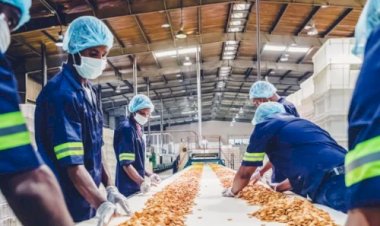 Brasil têm maior taxa do mundo, e pode perder 145 mil vagas de emprego