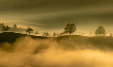 RS aposta em inovação agropecuária após catástrofe climática