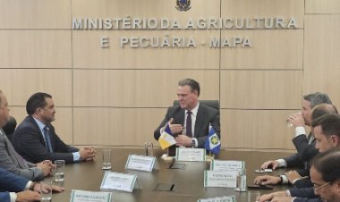 Tocantins busca apoio do governo federal para minimizar impactos de tarifa dos EUA e ampliar exportações