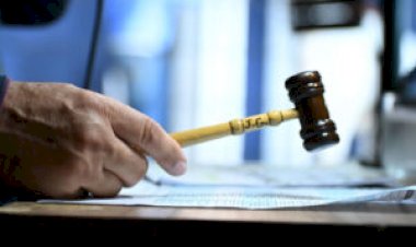 ExpoGenética terá 26 leilões e sete shoppings; feira começa dia 14