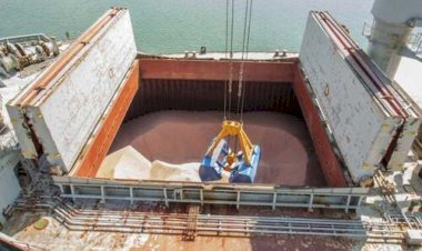 Tensão Brasil X EUA pode afetar fornecimento de fertilizantes