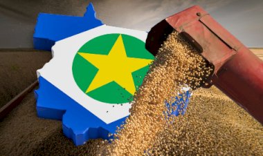 Centro-Oeste: Agronegócio atrai brasileiros de outros estados
