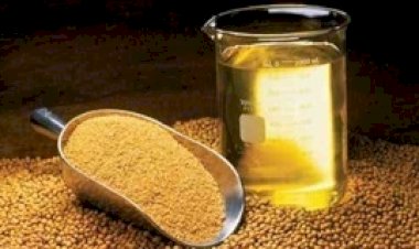 Farelo e Óleo: mercados seguem em direções opostas no Brasil