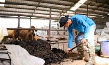 Agro brasileiro ganha calculadora de emissões de GEEs