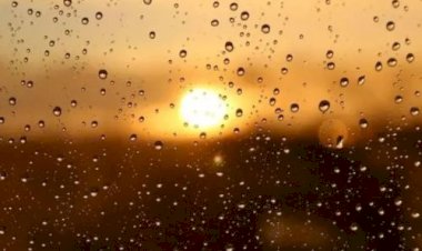 FPA critica Plano Clima por sobrecarga ao setor agropecuário e pede maior transparência