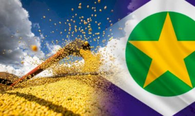 Soja sobe em Chicago com apoio do farelo e de compras técnicas