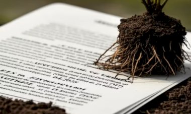 Famato auxilia produtores a negociar multas ambientais na Pauta Verde