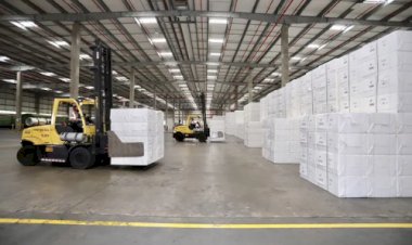 Mato Grosso do Sul prevê mais de R$ 70 bilhões em investimentos em celulose até 2028