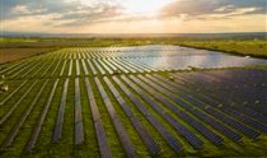 Soja: ferrugem asiática exige controle constante