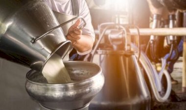 Minas mantém aberturas no setor de laticínios mesmo diante de dificuldades