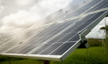 Energia mais barata para o agro e o futuro da irrigação