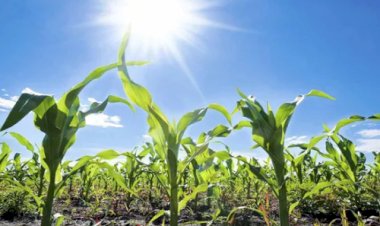 Calor de 40 °C, baixa umidade e pancadas isoladas marcam a quinta-feira no Brasil
