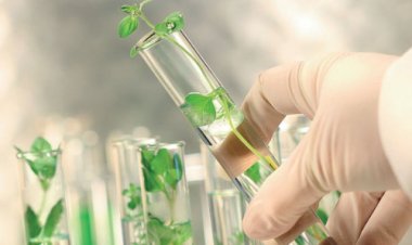 Paraná vai custear análises laboratoriais para pequenas agroindústrias