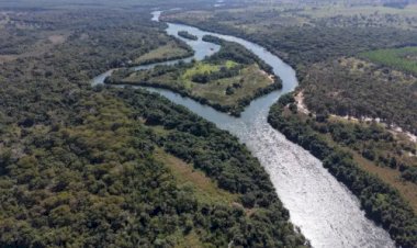 Arauco capta US$ 2,2 bilhões inanciar megafábrica de celulose em Mato Grosso do Sul