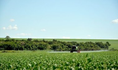 Justiça suspende decisão do Cade sobre Moratória da Soja