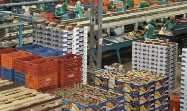 Tarifaço: Governo cria regra para compras públicas; veja os alimentos incluídos