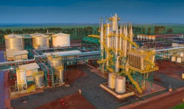 CerradinhoBio anuncia expansão em Goiás com aporte de R$ 140 milhões