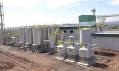 Santiago se firma como referência nacional com etanol de trigo