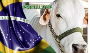 PORTAL GHF