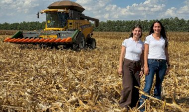 Agricultura regenerativa: Carbono no solo é sinônimo de produtividade comprovada