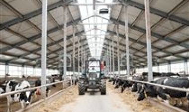 Seguro rural encolhe e deixa produtores mais vulneráveis às perdas