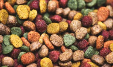 Japão autoriza produtos brasileiros para produção de rações e pet food