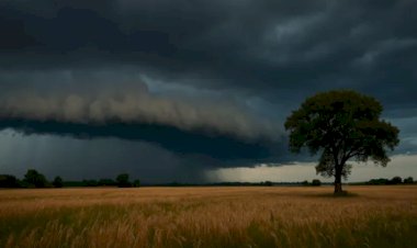 Duas frentes frias vão mudar o tempo no Brasil nesta semana