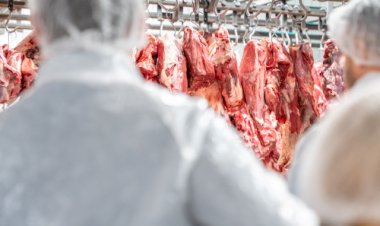 Seis frigoríficos de Mato Grosso são habilitados a exportar carne bovina para a Indonésia