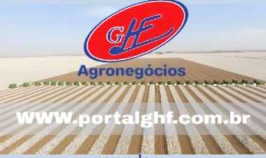 Goiás tem duas cidades entre as maiores produtoras agrícolas do Brasil; veja quais