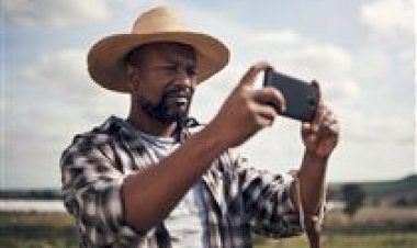 Vida no campo conquista espaço no TikTok