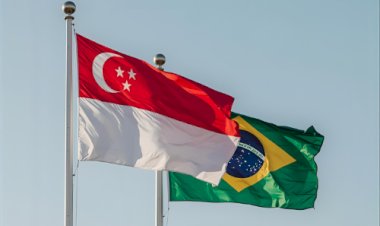 Brasil obtém aval para exportar sebo bovino a Singapura