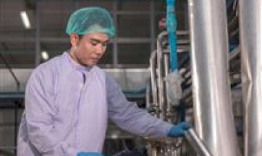 MS: sindicato cobra ação imediata do governo