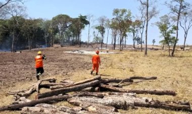 Homem é preso em Mato Grosso após ser flagrado ateando fogo em área rural