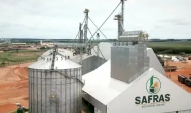Justiça suspende dívidas do Grupo Safras e aprova recuperação judicial da Agropecuária Santa Mônica