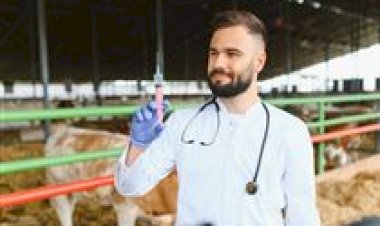 Mapa apreende vacina contra clostridioses no país