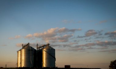 Governo de Goiás amplia capacidade de armazenagem para acompanhar produção de grãos