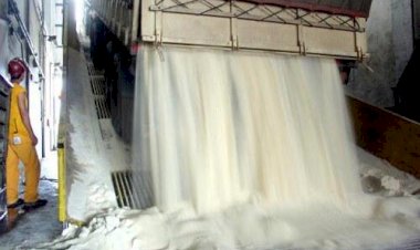 Queda na produtividade agrícola pressiona produção de açúcar e etanol no Centro-Sul