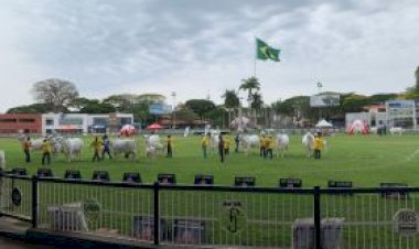Expoinel 2025 acontece de 13 a 19 de outubro, em Uberaba (MG)