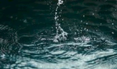 Água: o nutriente negligenciado na produção de leite