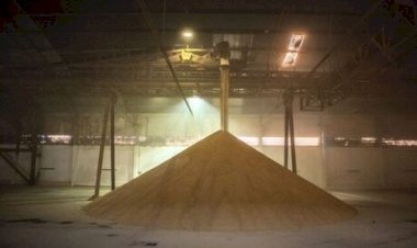 Armazenagem cresce 22% em dez anos em Goiás